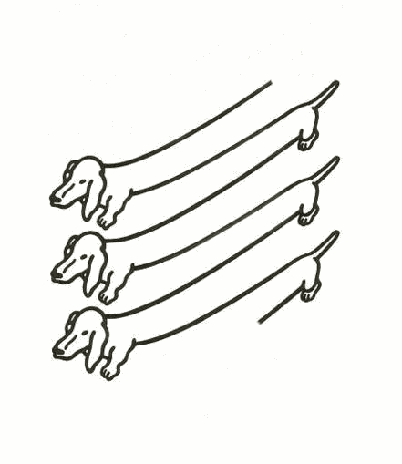 24 Awesome Optical Illusions -Three words: endless wiener dogs.