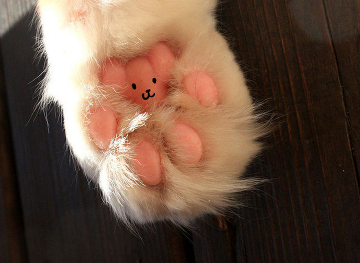 25 Things That Can't Be Unseen - Little cat paws look like teddy bears.