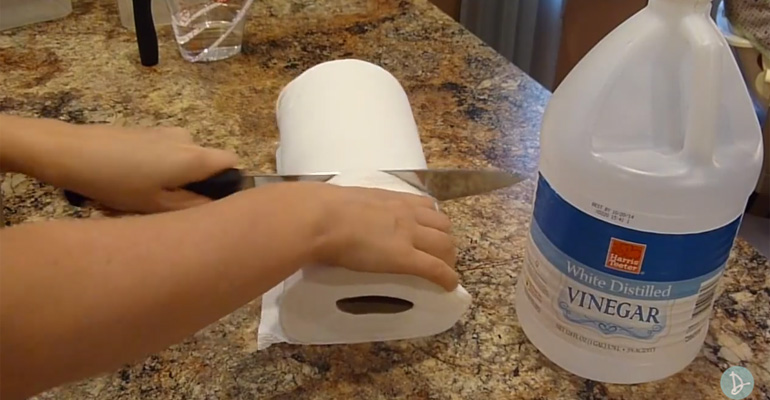 She Puts Half a Paper Roll Into a Container and Fills It With Vinegar. I Should Try This!