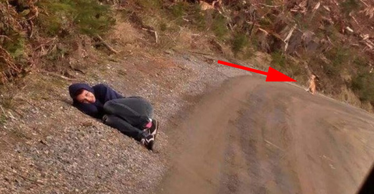 Woman Pretends to Be Injured so That a Stray Dog Could Be Saved