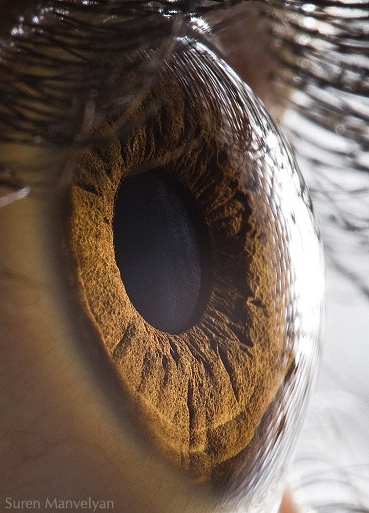 21 Awe-Inspiring Photos - A breathtaking closeup of the human eye.