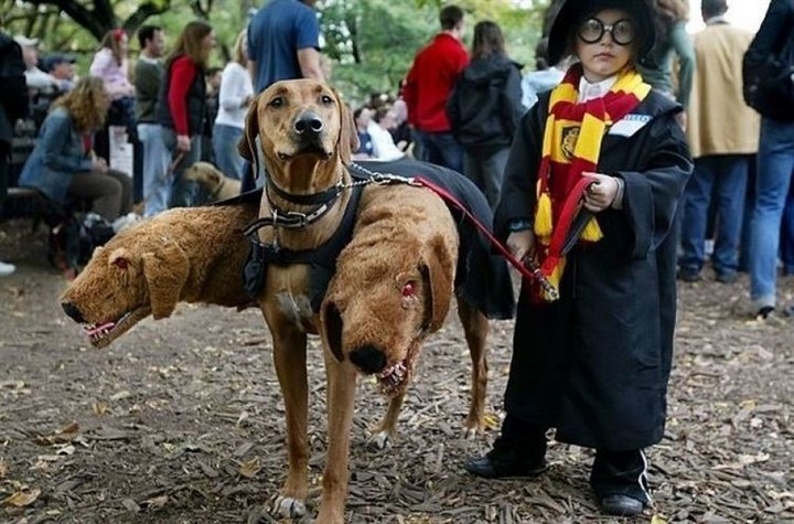 21 Hilarious Parents - Parents giving 110% to make their child's costume extra special.