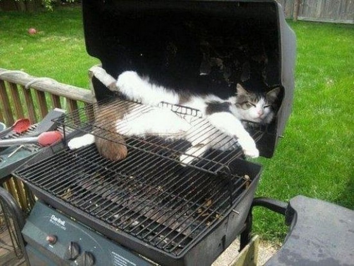 I'm glad he opened the lid before lighting the BBQ.