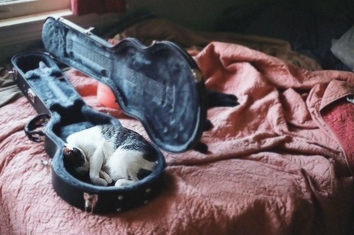 This person just lost their guitar case.