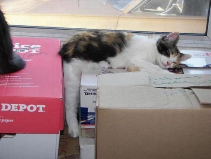 If it fits, it ships.