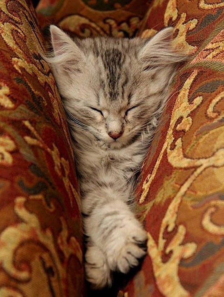 Too comfy.