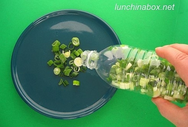 28 Food Storage Hacks - Chop and freeze green onions.