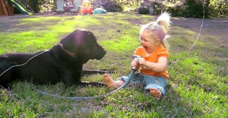 A Mother Saw Her Little Daughter Doing THIS to Her Dog in the Backyard. Simply Adorable.