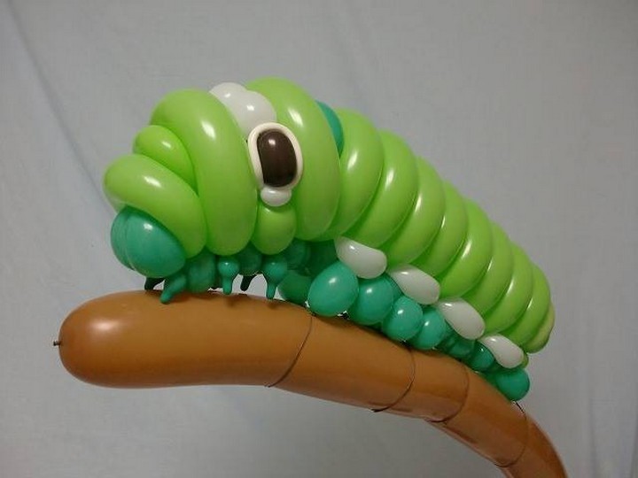 Balloon Caterpillar.