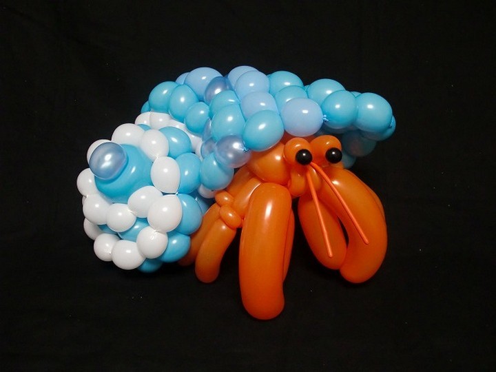Balloon Hermit Crab.