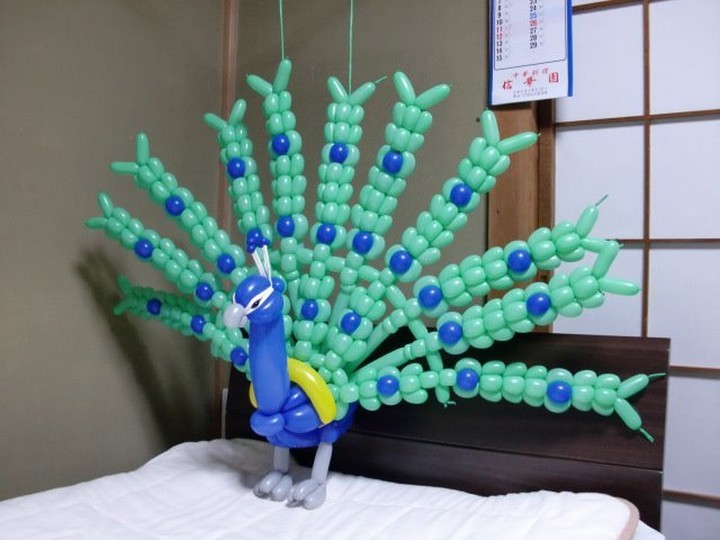 Balloon Peacock.
