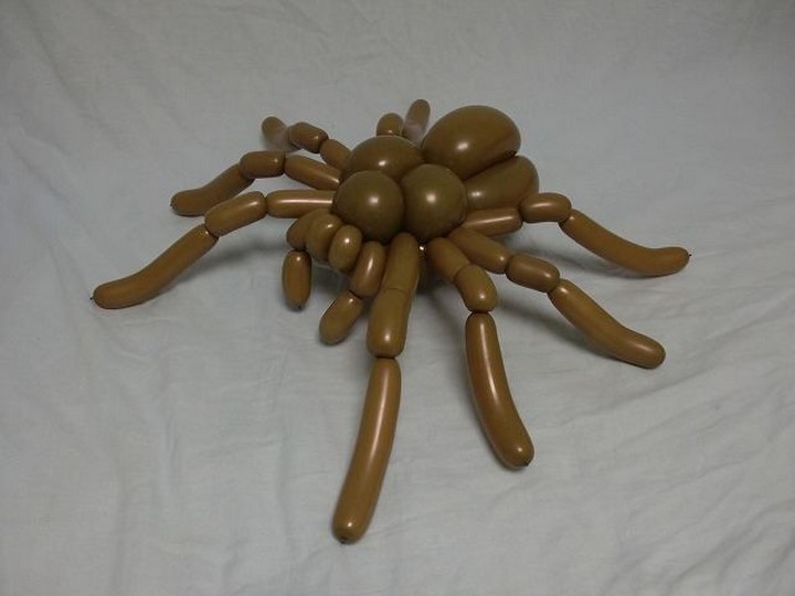 Balloon Spider.