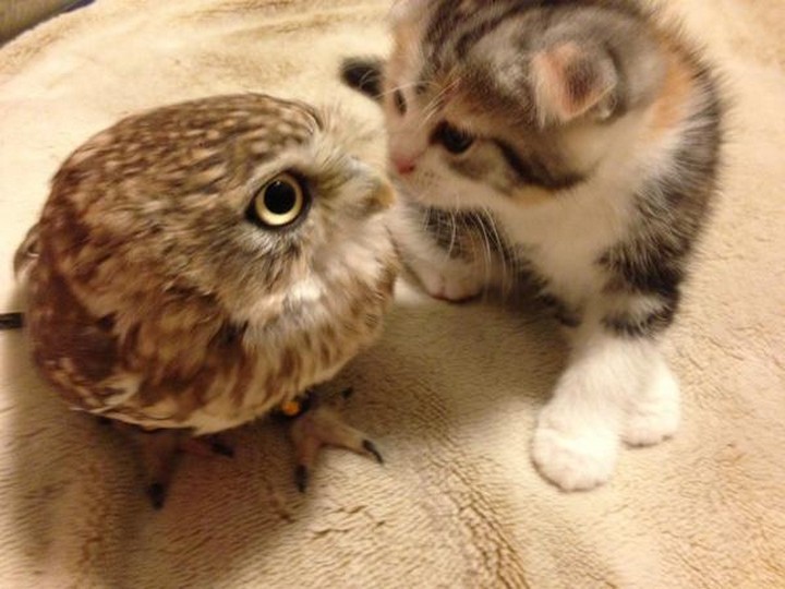 "Come here, a little closer..."
