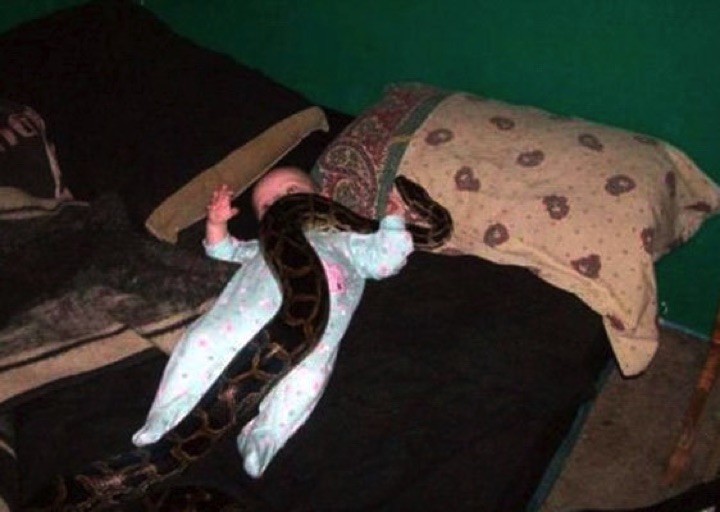 34 Parenting Fails - It's OK, the baby is only playing with a deadly python!