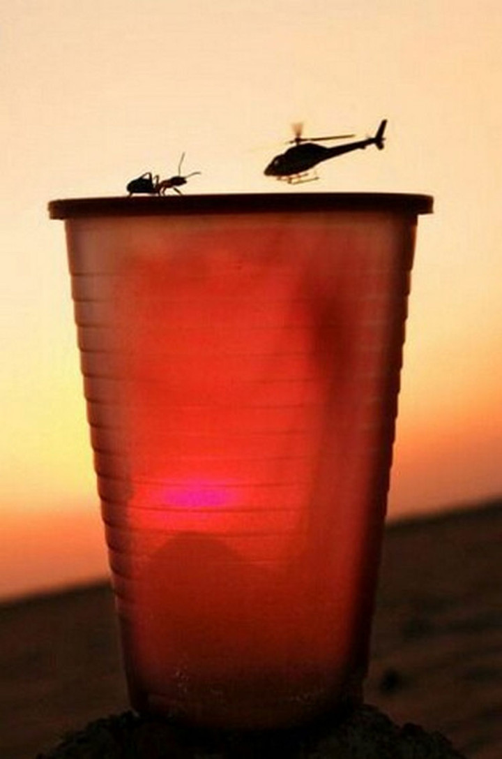 13 Perfectly Timed Photos - I wonder if Ant-Man is driving the helicopter.