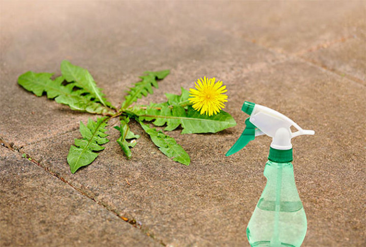 47 Amazing Life Hacks - Vinegar - Control weeds around your home by spraying them with household vinegar. No chemicals!