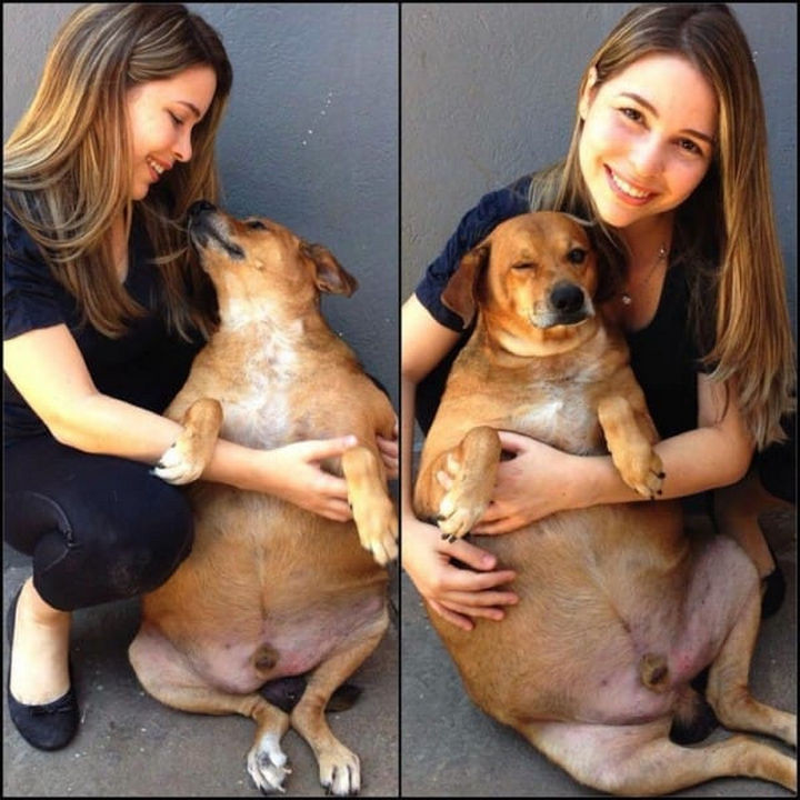 The caregivers gave him the love he deserved and wanted to help him shed off his unhealthy weight.