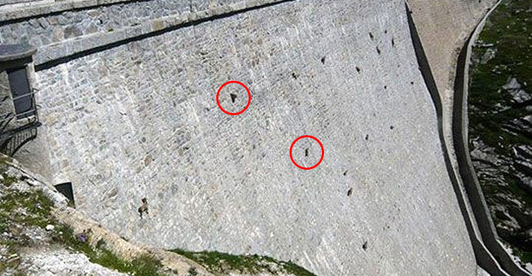 I Thought I Was Looking at a Picture of a Dam Until I Looked Closer. OMG, What Is That?!?!