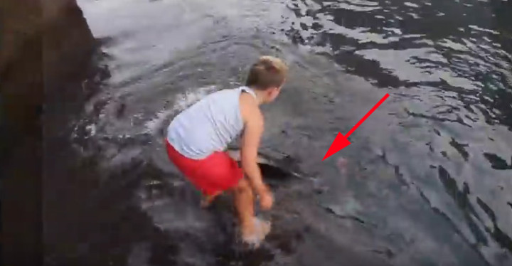 Little Boy Feeds Stingrays and They Keep Coming Back.