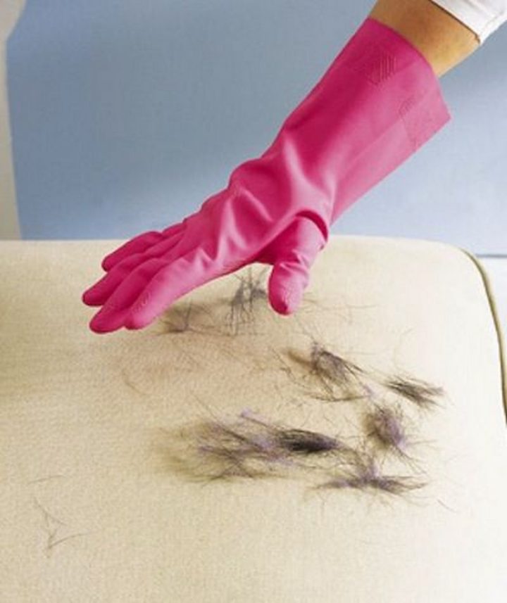 35 House Cleaning Tips - Removing pet hair using a rubber glove.