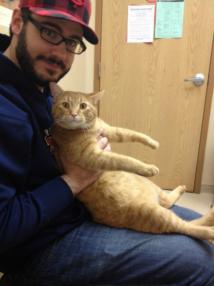 28 Dogs and Cats That Really Hate Going to the Vet