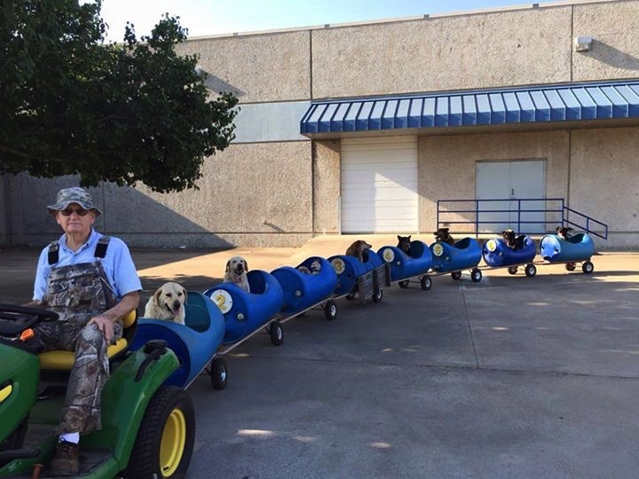 80-Year-Old Retiree Builds Dog Train for 9 Dogs He Rescued