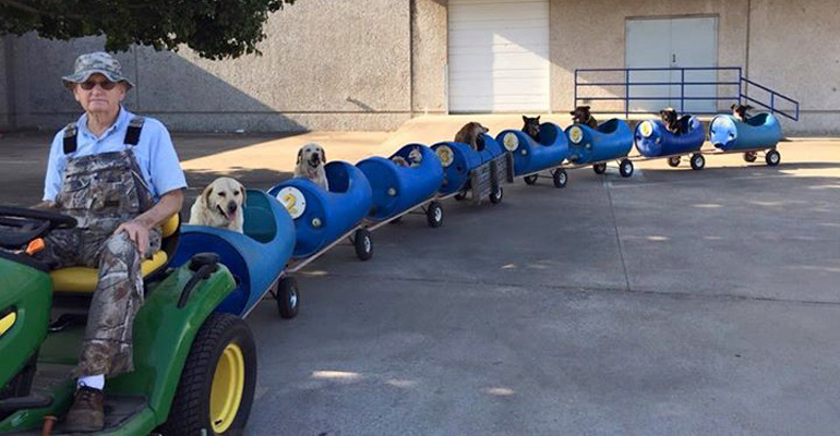 What This 80-Year-Old Man Built for His 9 Rescued Dogs Is the Sweetest Thing Ever