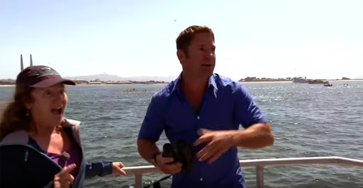 Blue Whale Spotted in Monterey Bay Interrupts Interviewer.