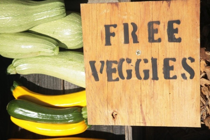 Another fantastic idea. A free veggies box was built at the curbside offer fresh, healthy vegetables to anyone who passed by.