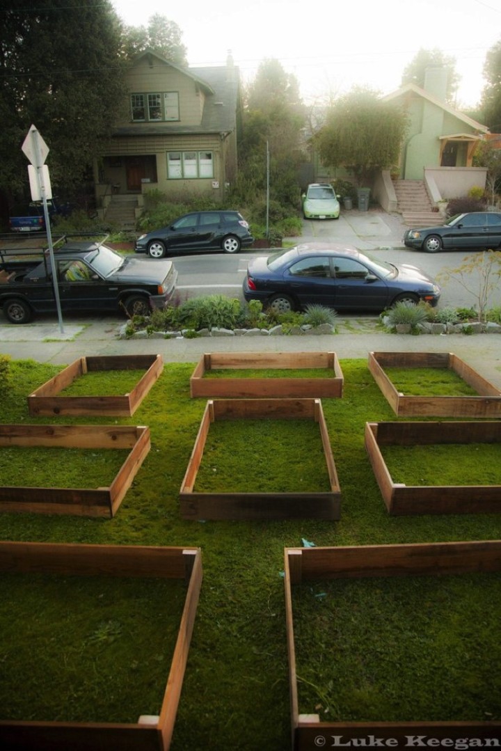 The homeowner decided to "screw the lawn" and build a vegetable garden instead.