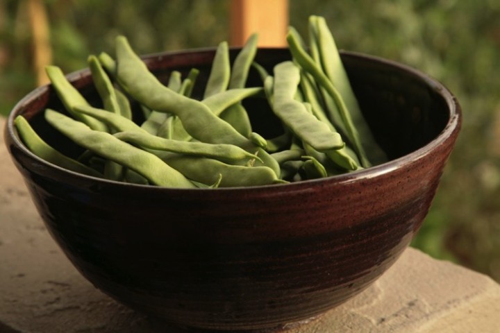 Delicious Romano musica beans. Third photo.