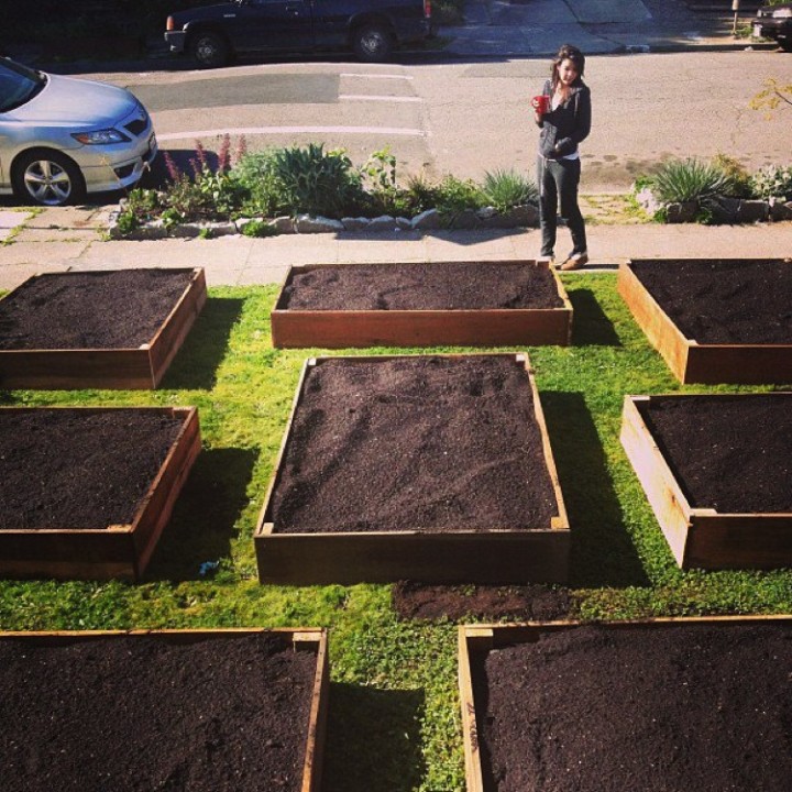 He constructed eight 6x4 feet raised beds out of ten feet long slabs of 1"x10" reclaimed redwood barn siding.