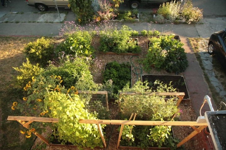 Here is how the garden looks from above. Look at all those vegetables!