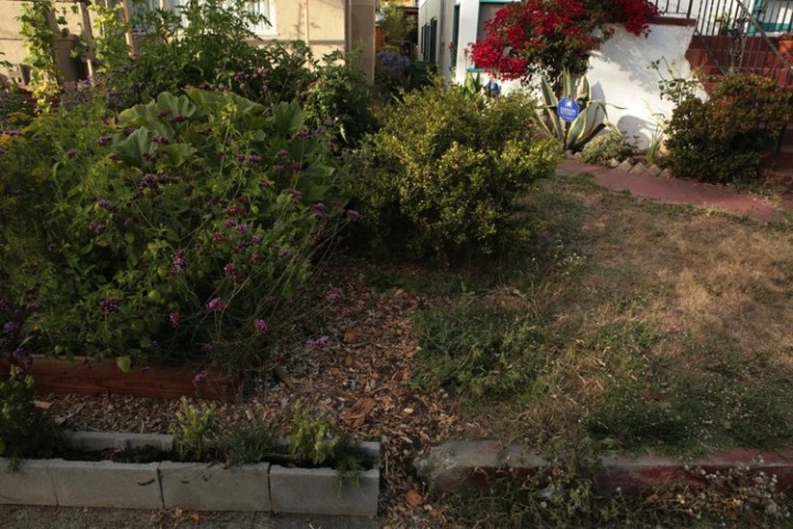 Some people may think a garden would reduce property value but here is a side-by-side view of his neighbor's yard to the east. A garden looks much more beautiful.