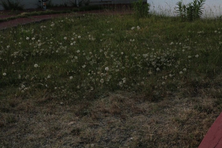 Time to start on the neighbor's yard!