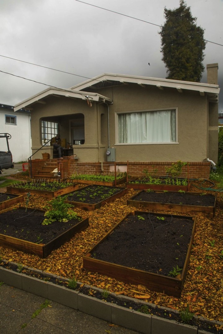Some of the plants are growing so quickly that he needed to build support structures to help them grow upright.