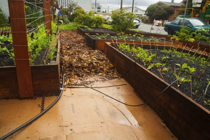 He also built his own DIY irrigation system.
