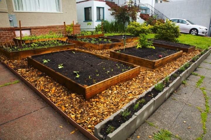 Cinder blocks also make great containers and here you can see herbs such as rosemary, basil, and thyme growing.