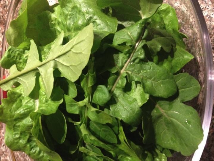 Arugula was the first vegetable to be ready for harvesting but others soon followed.