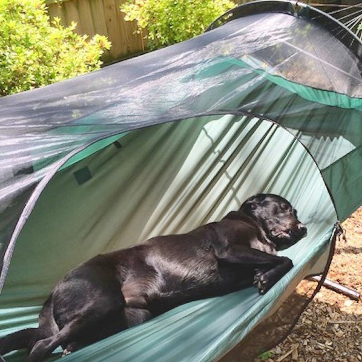 It's so comfortable that other family members might decide to take a nap in your tent.