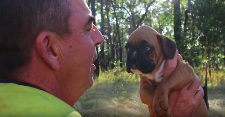 Firefighter's Life Is Changed After Saving Dog in a Wooden Box.