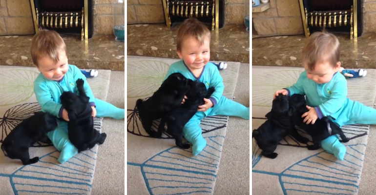 An Adorable Baby Sat on the Floor with His Two Puppies and What They Did Is Adorable