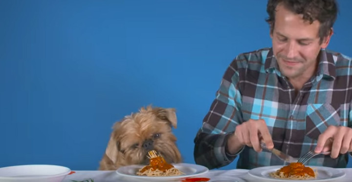 Dogs and Their Owners Have a Dinner Date and It's Too Cute.