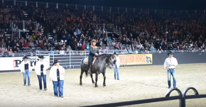 Horse Wows the Crowds by Line Dancing to Billy Ray Cyrus' Country Hits.