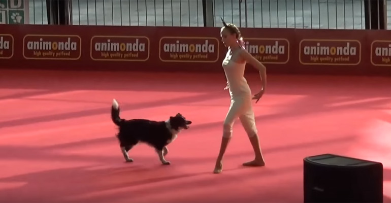 A Dancer Walked into the Stadium with Her Dog and What She Did Next Amazed the Entire Crowd