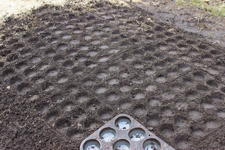13+ Muffin Pan Hacks - Create perfectly spaced grids to start your garden seedlings.