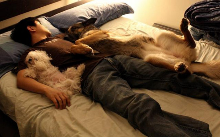 20 Things Dog Owners Will Understand - But big or small, they will always be your best buddy.