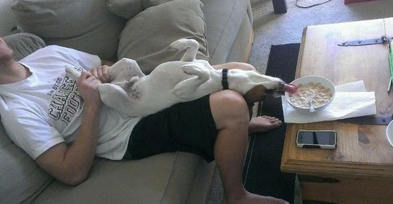 Owning a Dog Is Awesome but Sometimes Things Can Get Silly. Here’s 20 Things Dog Owners Will Understand.