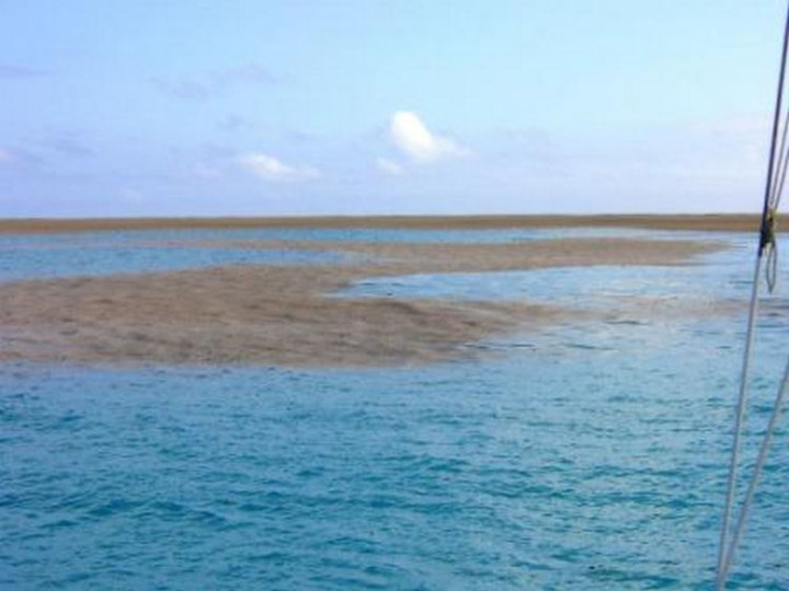 A sailing crew noticed what appeared to be a sandbar in the middle of the ocean.