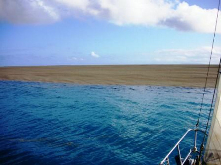 But there were huge amounts and it almost appeared like a beach.